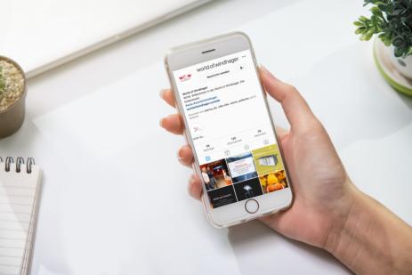Bild der IG Feed.
